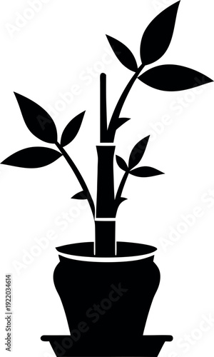Lucky Bamboo Indoor Plant Silhouette Illustration