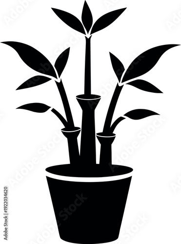 Lucky Bamboo Silhouette Potted Plant Icon Illustration