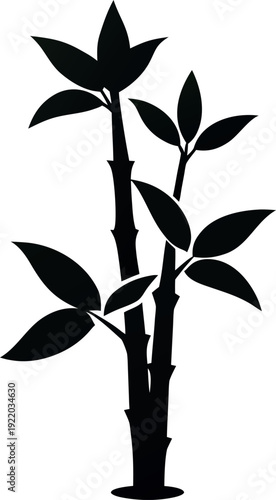 Black silhouette lucky bamboo plant vector illustration