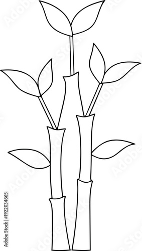 Hand‑drawn lucky bamboo stalks minimalist botanical illustration
