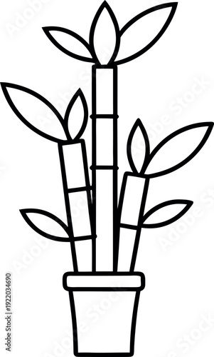 Hand‑drawn lucky bamboo plant in decorative pot illustration