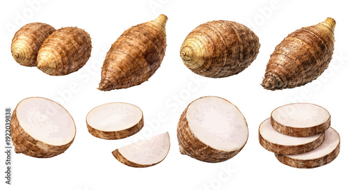 A charming watercolor collection of taro root clipart, including whole roots, sliced rounds, stacked pieces, textured brown skin, and pale interiors.