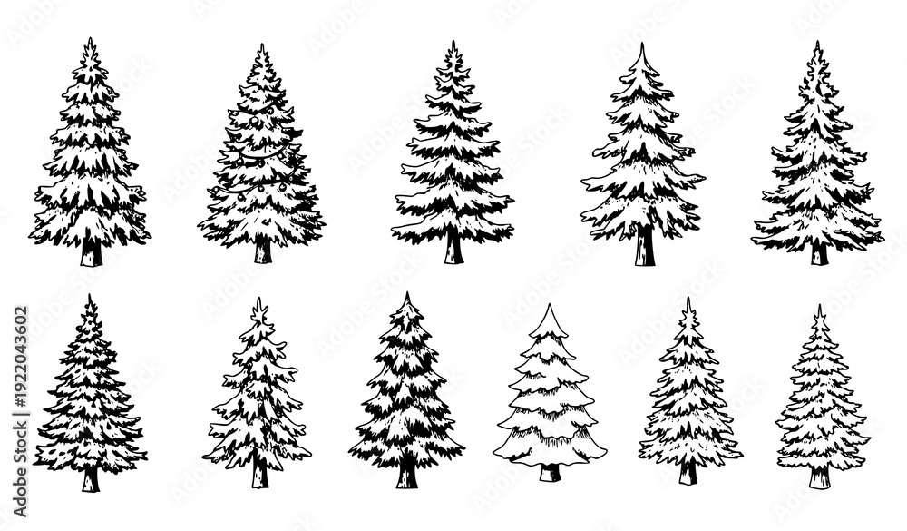 Obraz premium Hand-Drawn Christmas & Winter Pine Trees Vector Set – Holiday Forest Collection