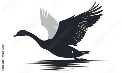 シルエット【飛び立つ白鳥】