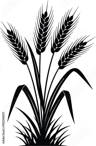 Black wheat plant silhouette illustration with grain ears and leaves, agricultural crop symbol isolated on white background for farming, harvest, and nature design use