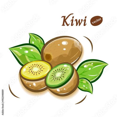 キウイフルーツのベクター素材|フレッシュで可愛い果物ポップアートイラスト