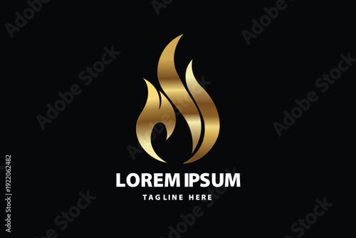 Golden Flame Fire Abstract Logo
