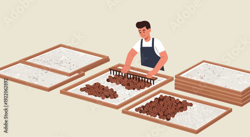 Farmer raking coffee beans on drying racks, highlighting traditional processing methods