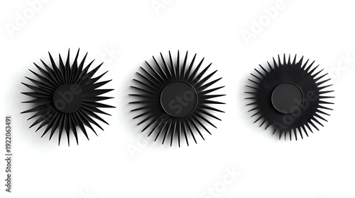 vector illustration of eye