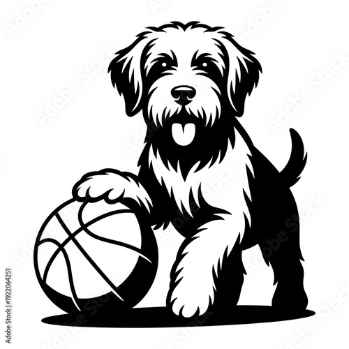 Labradoodle Playing Basketball