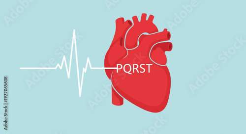 Human heart with ECG waveform and PQRST label