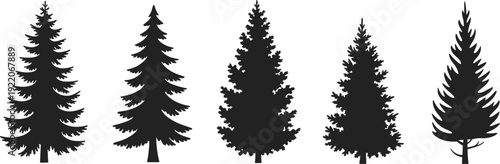 Pine and fir tree silhouettes set, evergreen forest conifer icons isolated black trees on white background for landscape design