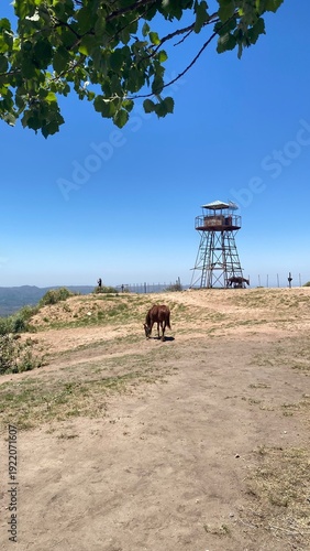 A brown horse grazes on a hilltop in rural Córdoba, Argentina. In the background, a metal observation tower stands against a deep blue, cloudless sky, capturing the essence of the Argentine countrysid