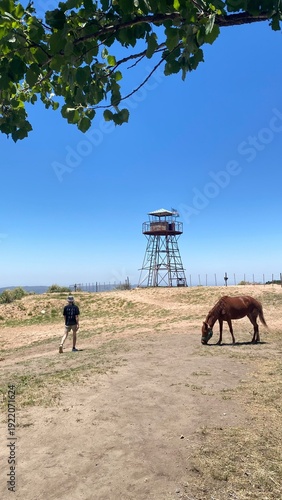 A brown horse grazes on a hilltop in rural Córdoba, Argentina. In the background, a metal observation tower stands against a deep blue, cloudless sky, capturing the essence of the Argentine countrysid