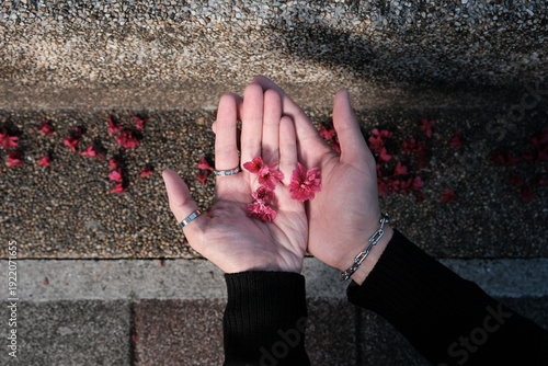 Hands holding red blossoms