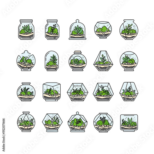 Diverse Terrarium Collection: Hand-Drawn Green Plants in Various Glass Containers and Geometric Shapes