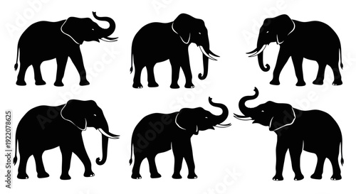Set of six black elephant silhouettes on a white background