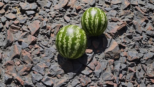 crystal clear 4k footage fresh green watermelon placed rugged stone under natural sunlight revealing vivid textures shadows refreshing sense organic freshness