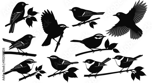 Black Silhouette Birds on Branches
