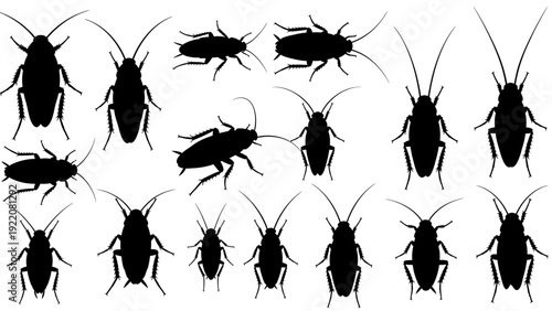 Cockroach Silhouettes Collection