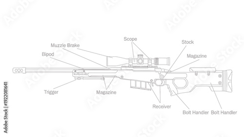 Labeled Diagram of a Rifle