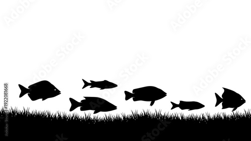 School of Fish Silhouettes vector illustration