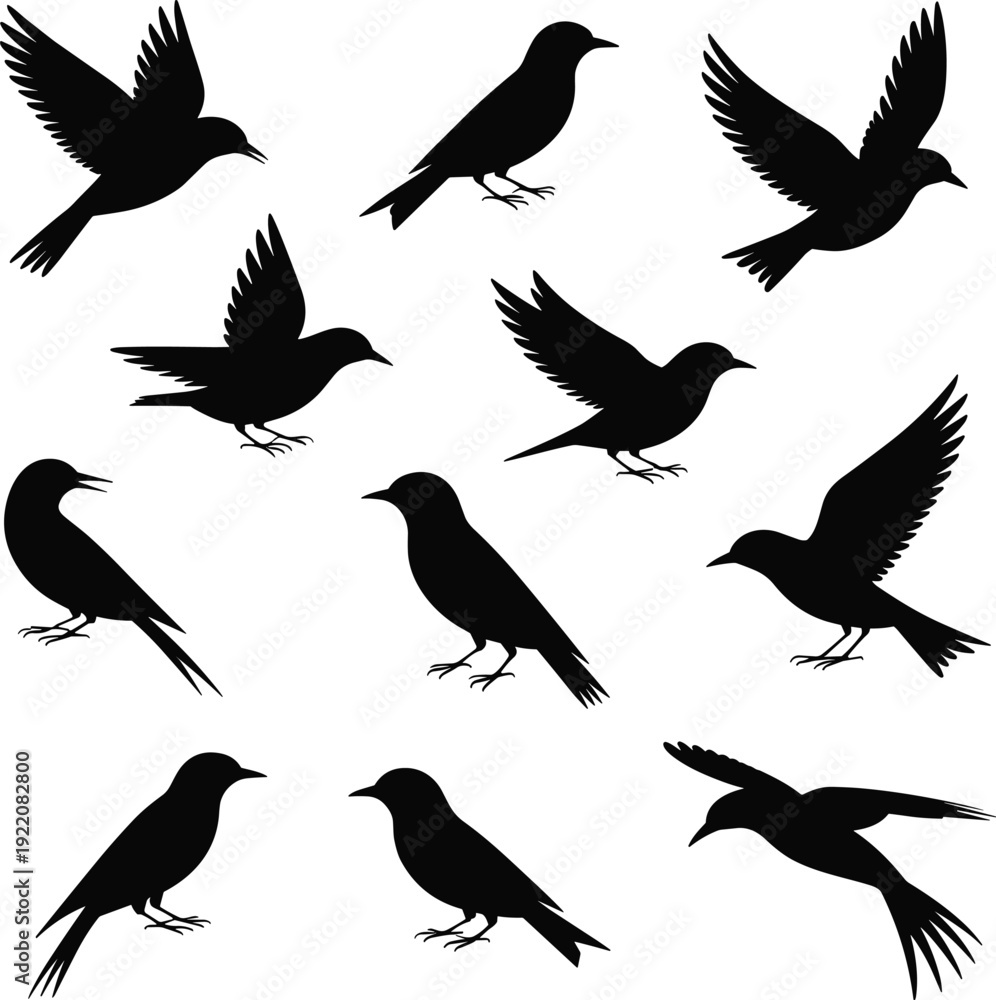 Fototapeta premium Flying and perched bird silhouettes collection black crow raven songbird shadow set isolated on white background illustration
