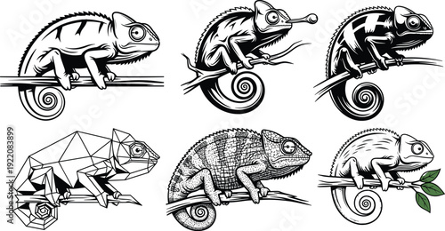 Chameleon Illustration Collection with Realistic and Geometric Styles Black and White Reptile Vector Set Isolated on Background