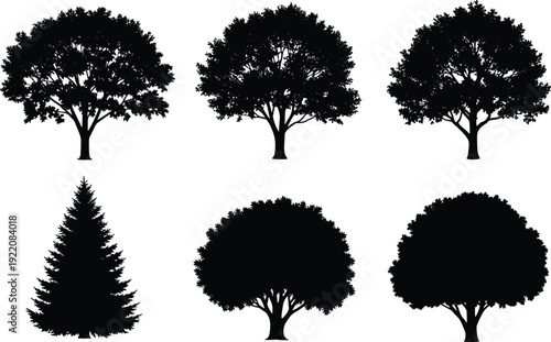 Tree Silhouette Set with Deciduous and Evergreen Shapes Black Forest Nature Vector Illustration Collection Isolated on White