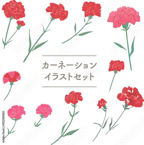 カーネーションのベクターイラストセット｜母の日・花素材コレクション