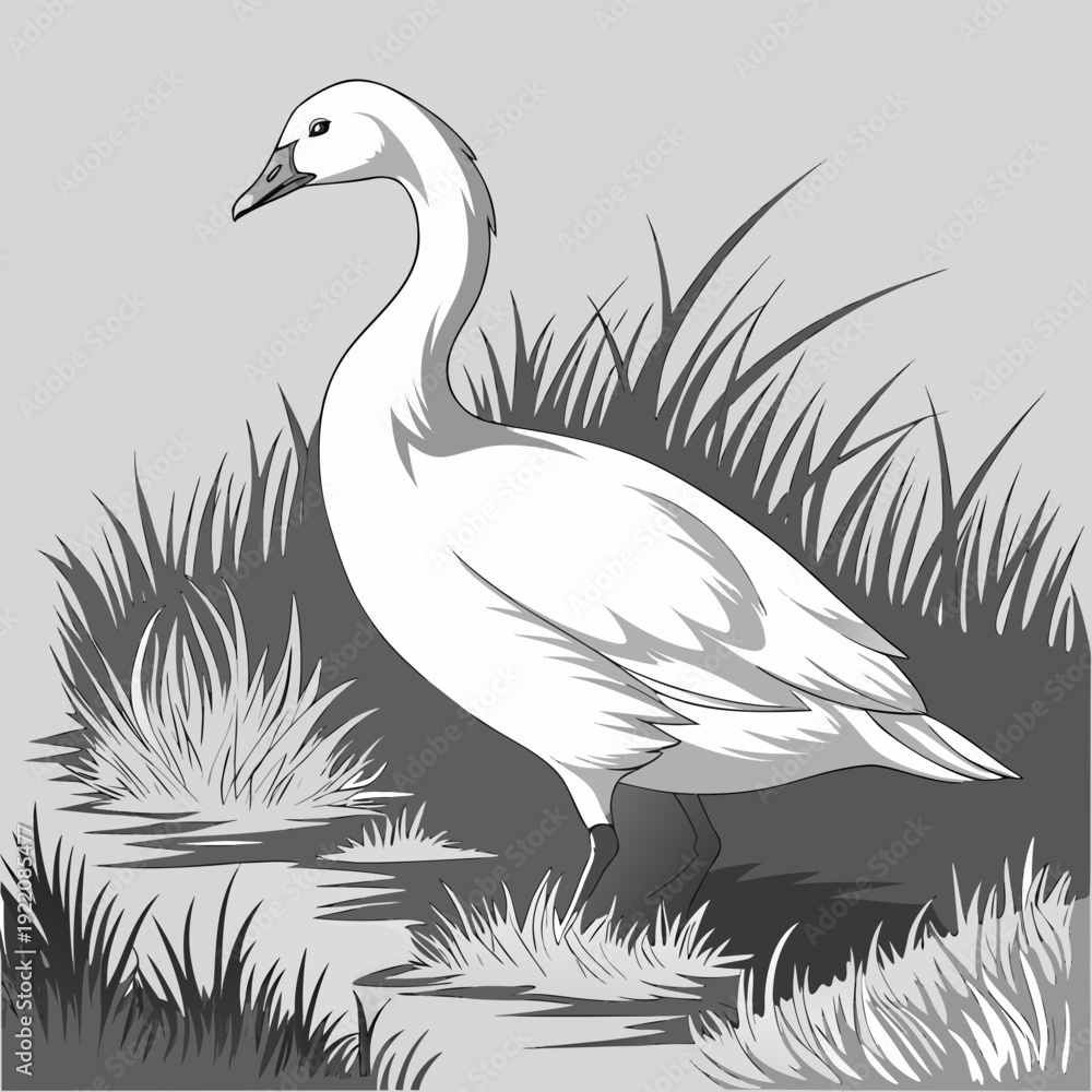 Naklejka premium Elegant White Swan Standing Gracefully in Lush Grass Near Water.