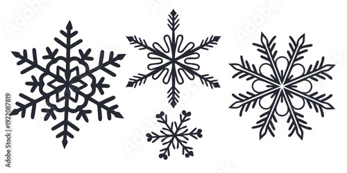 A collection of intricate and varied snowflake designs showcasing their unique patterns and structures