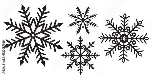A collection of intricate snowflakes showcasing unique patterns and symmetrical designs.