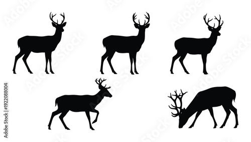 Five deer silhouettes in various poses on a white background isolated on white background, Vector