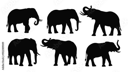 A group of black elephant silhouettes on a white background isolated on white background, Vector