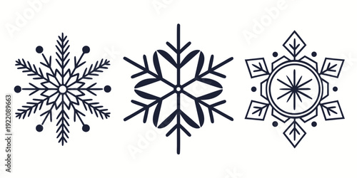 A detailed illustration showcasing the intricate designs of three different snowflakes.