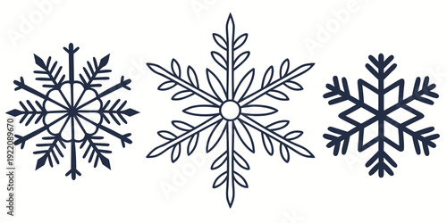 Three distinct snowflakes showcasing intricate and unique geometric patterns