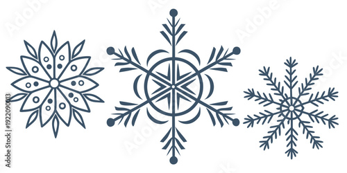 Three intricate snowflakes with unique patterns and delicate details.