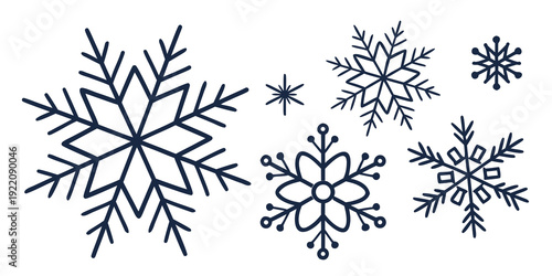Intricate snowflakes with varying patterns and sizes on a white background