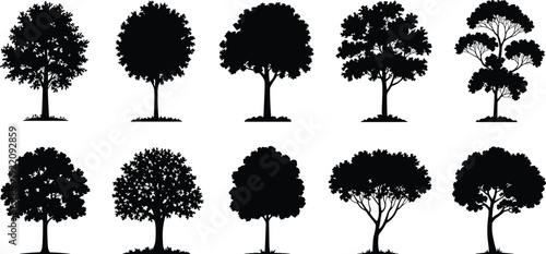 Tree silhouettes collection, detailed deciduous forest trees isolated black vector set for landscape and garden design