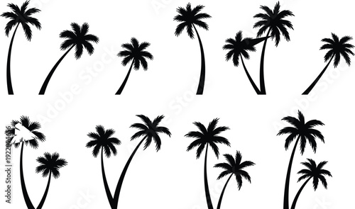 Set of tropical palm tree silhouettes, exotic beach nature collection for summer travel design, island landscape elements, black vector clipart