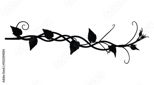 Decorative branch silhouette with leaves and swirls for elegant borders and floral design