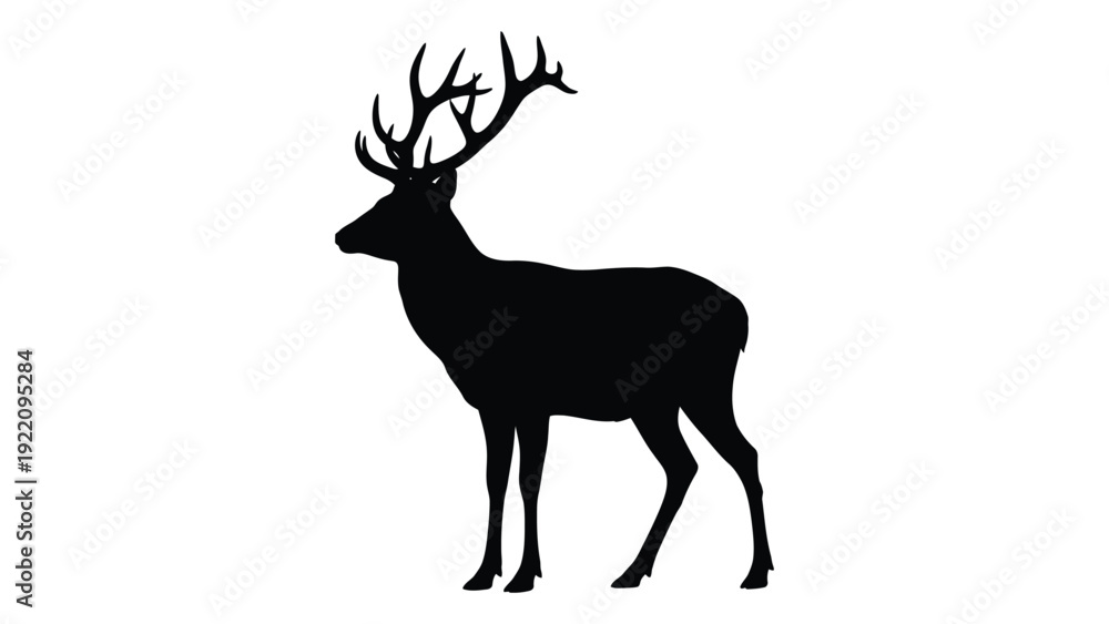 Obraz premium A black silhouette of a deer with antlers isolated on white background, Vector