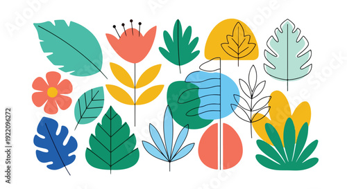 Colorful botanical graphic arrangement of flowers and leaf shapes
