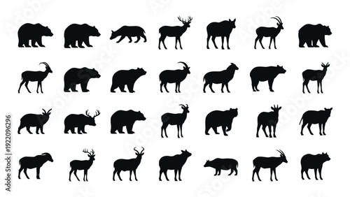 Collection of animal silhouettes in different poses and shapes isolated on white background, Vector