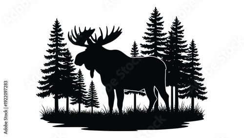 A moose stands in front of pine trees isolated on white background, Vector