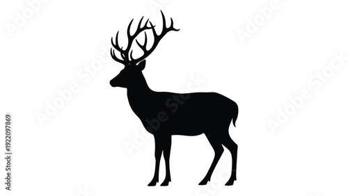 A black silhouette of a deer with large antlers isolated on white background, Vector