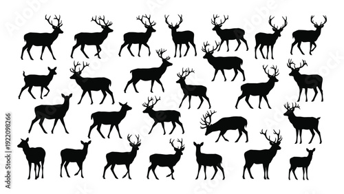 A group of deer silhouettes in various poses isolated on white background, Vector