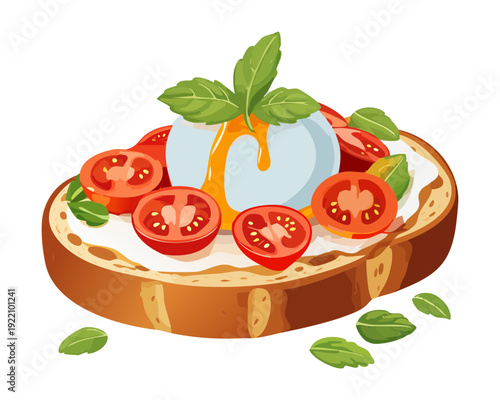 Nutritious breakfast toast with poached egg tomatoes and herbs for healthy morning protein meal option - Vector Illustration