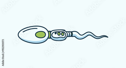 Simplified Representation of Human Sperm Cell with Tail Structure